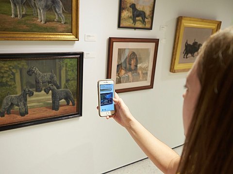 Photo of AKC Museum of the Dog