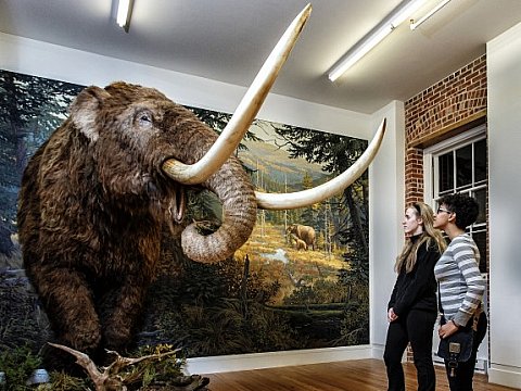 Photo of Staten Island Museum