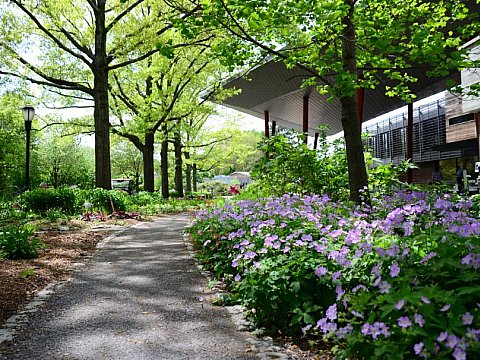 Photo of Queens Botanical Garden